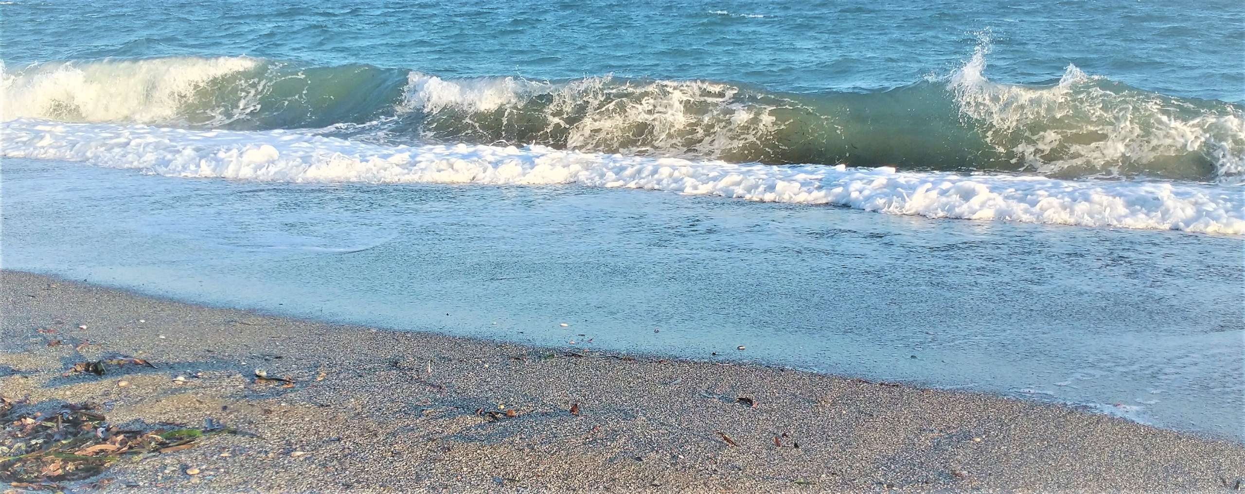 Oceans on canvas - SciGlam